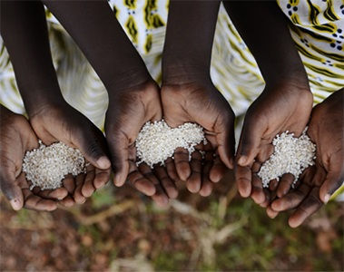 #FutureFortified: Zusammenarbeit zur Unterstützung der globalen Ernährung durch angereicherten Reis