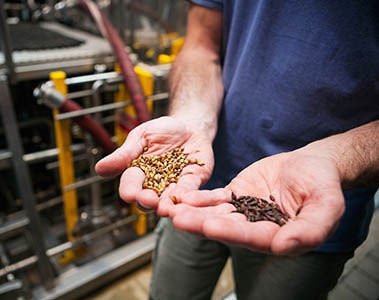 Reduced barley quality due to climate change asks for Adjunct Brewing solution