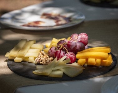 Nuevos hallazgos científicos rompen el paradigma de las "fábricas de sabor" de queso