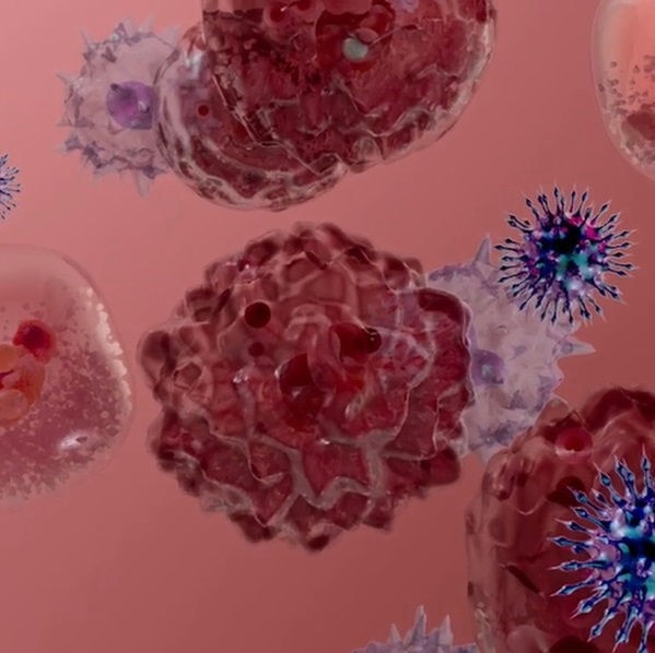 건강한 노화에 대한 영양학적 접근이 노화를 단순히 오래 사는 것이 아니라 더 나은 삶으로 재정의하는 방법