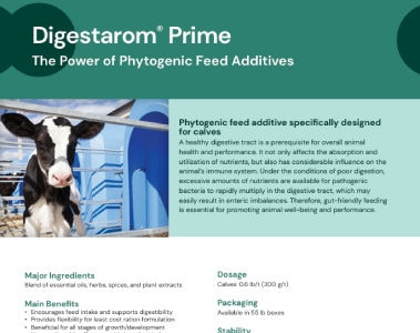 Digestarom® Prime – The Power of Phytogenic Feed Additives