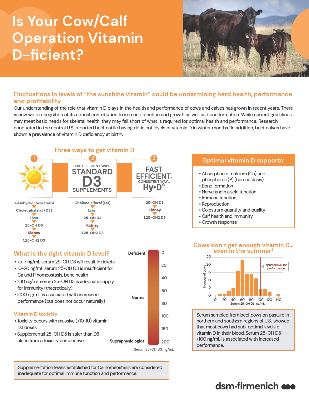 Hy•D Beef for Cow-Calf Sales Aid