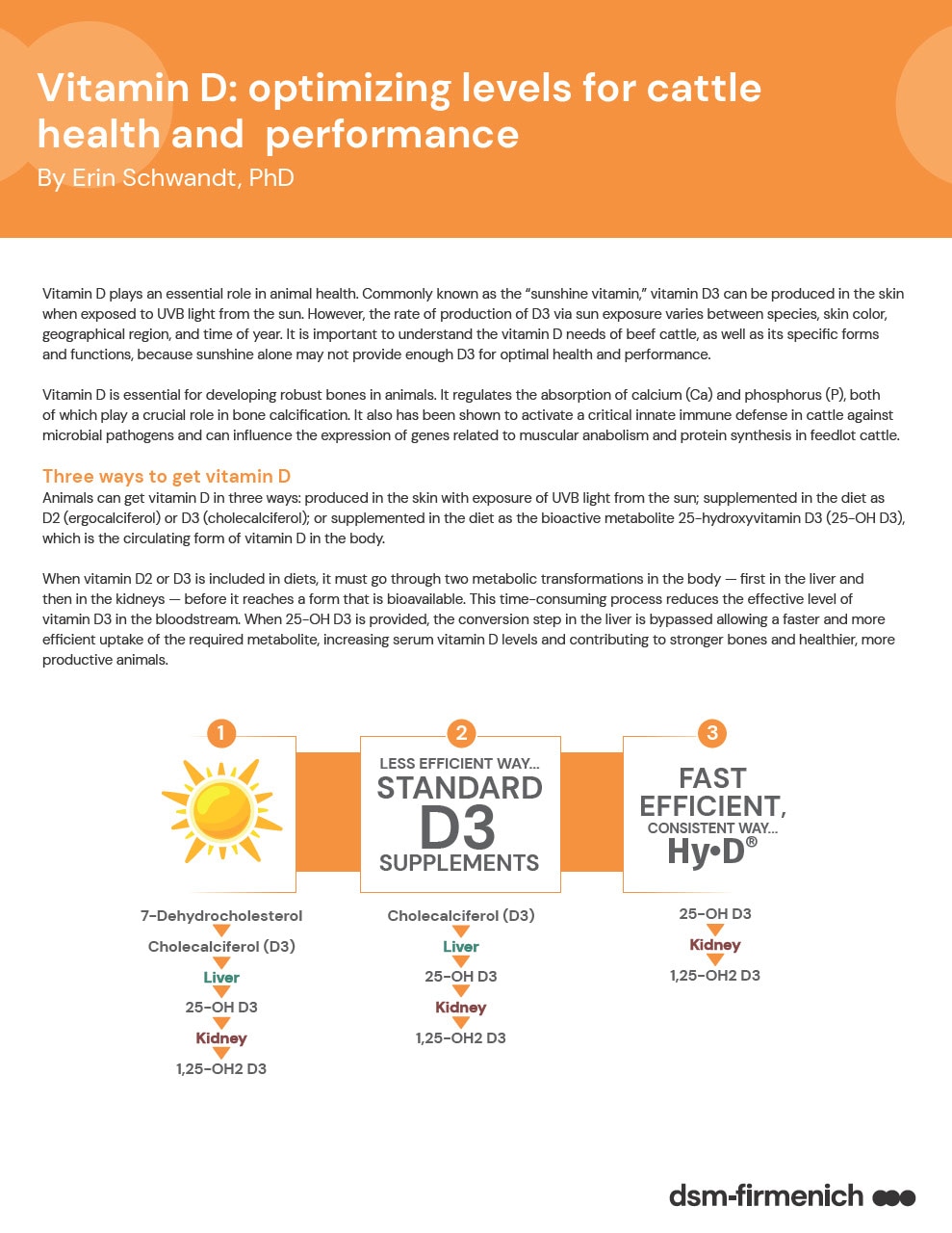 Hy•D Research Article