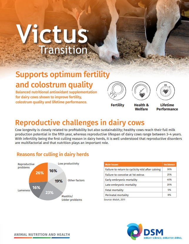 Victus Transition