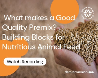 Webinar: What Makes a Good Quality Premix? Building Blocks for Nutritious Animal Feed