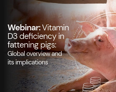 Webinar: Vitamin D3 Deficiency in Fattening Pigs - Global Overview and Its Implications