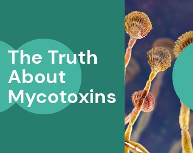 Webinar: The Truth About Mycotoxins