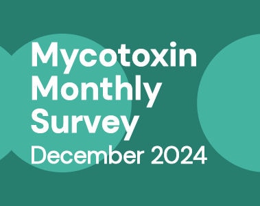 Mycotoxin Survey Monthly Update: December 2024