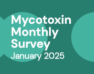 Mycotoxin Survey Monthly Update: January 2025