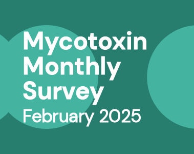 Mycotoxin Survey Monthly Update: February 2025