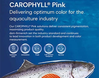 CAROPHYLL® Pink: Leading the Way in Aquaculture Pigmentation