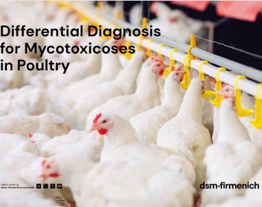 Download the Differential Diagnosis for Mycotoxicoses in Poultry booklet