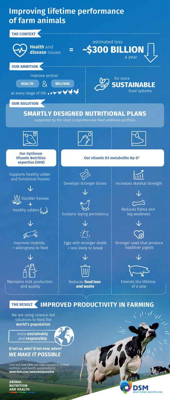 Infographic Improving Lifetime Performance Of Animals