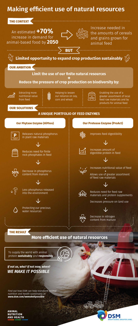 Infographic Making Efficient Use Of Natural Resources