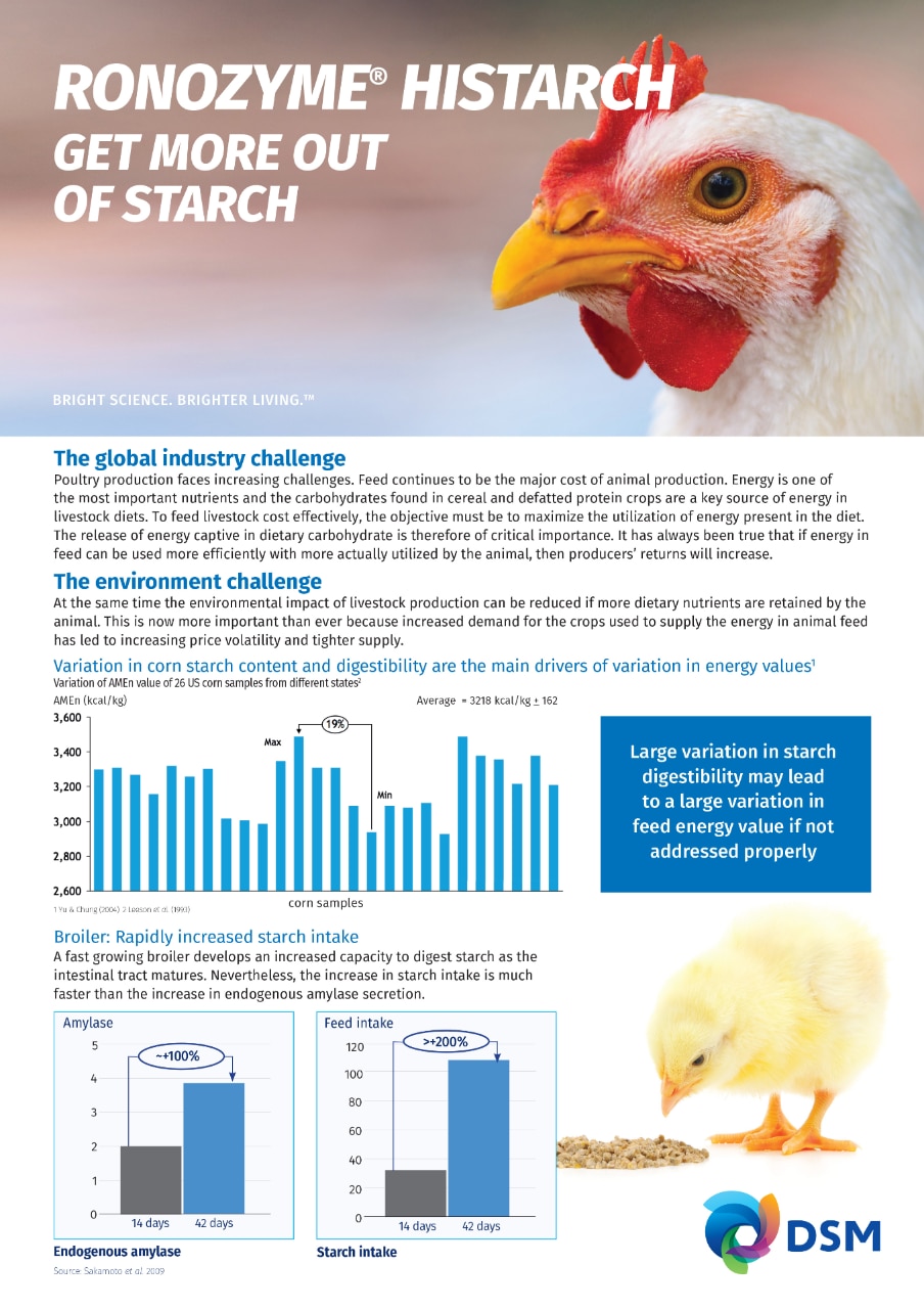 RONOZYME® HiStarch brochure