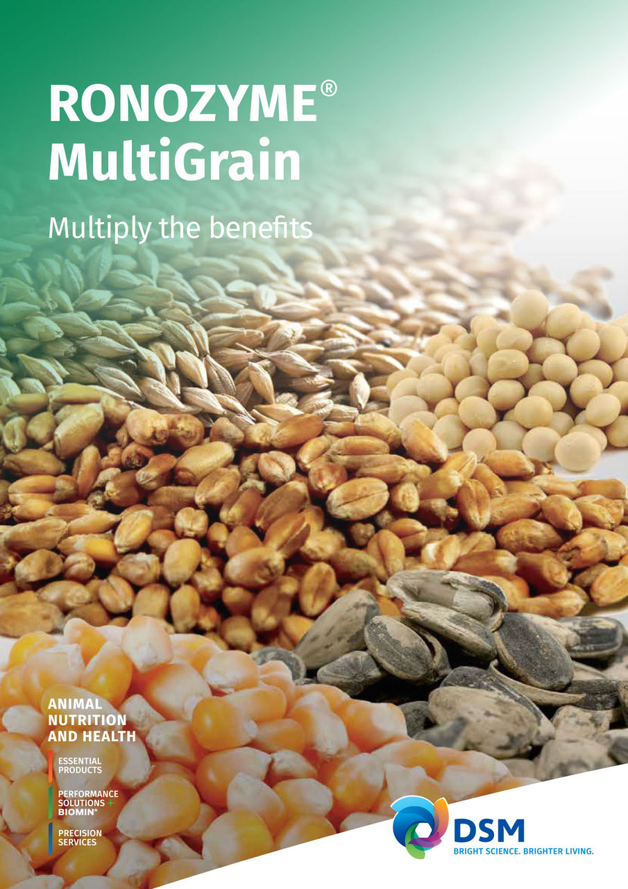 dsm-firmenich RONOZYME® MultiGrain Brochure PDF