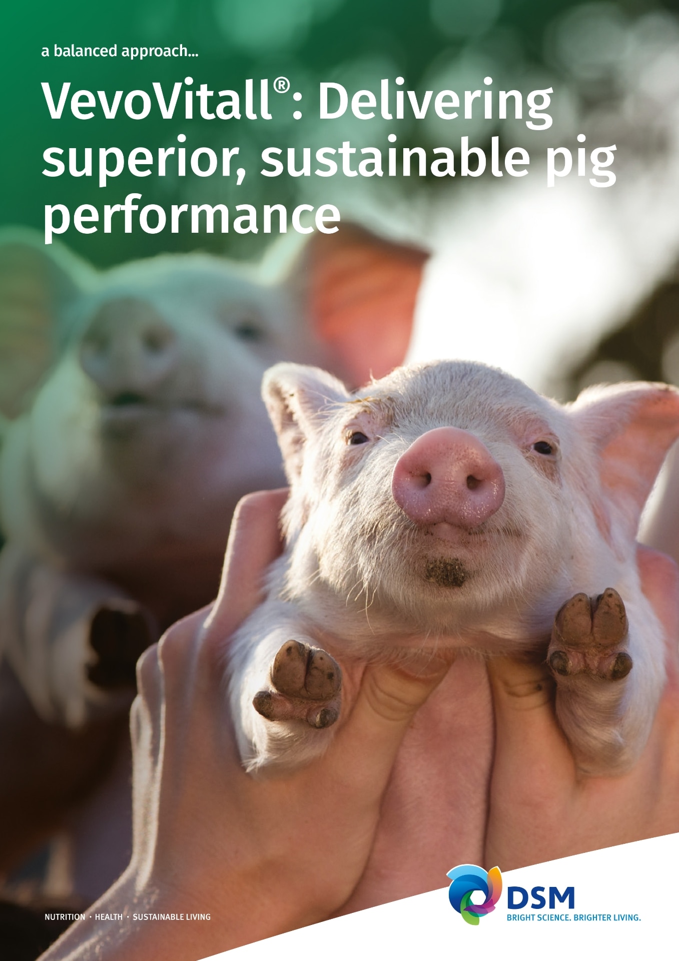 VevoVitall Delivering Superior Pig Performance