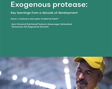 Exogenous protease: Key learnings from a decade of development [white paper]