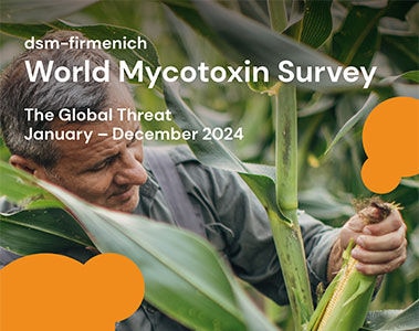 Download the dsm-firmenich World Mycotoxin Survey January to December 2024