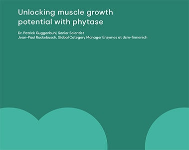 Unlocking muscle growth potential with phytase