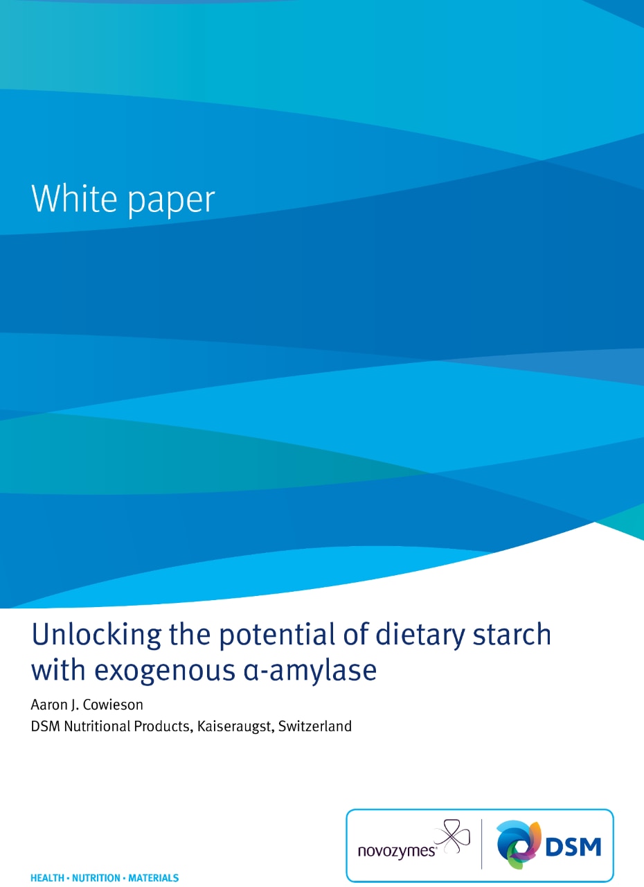 Unlocking potential of dietary starch with α-amylase