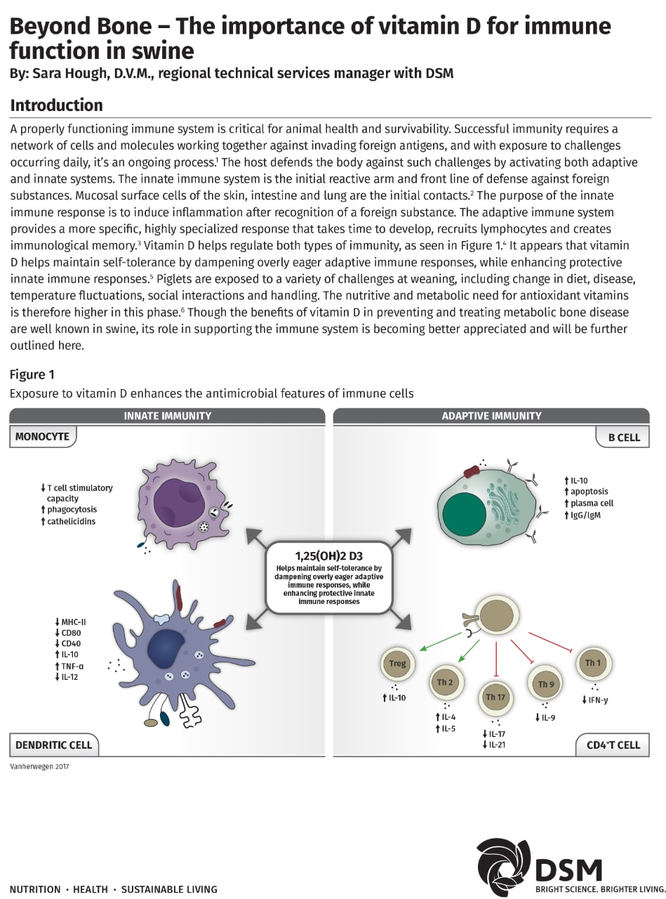 Role of vitamin D for immune function in swine