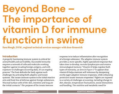 Beyond Bone – The importance of vitamin D for immune function in swine