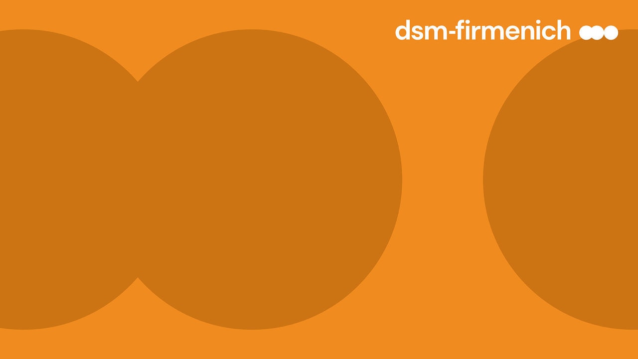 FY 2023 results dsm-firmenich