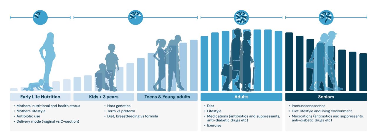 Gut microbiome lifespan